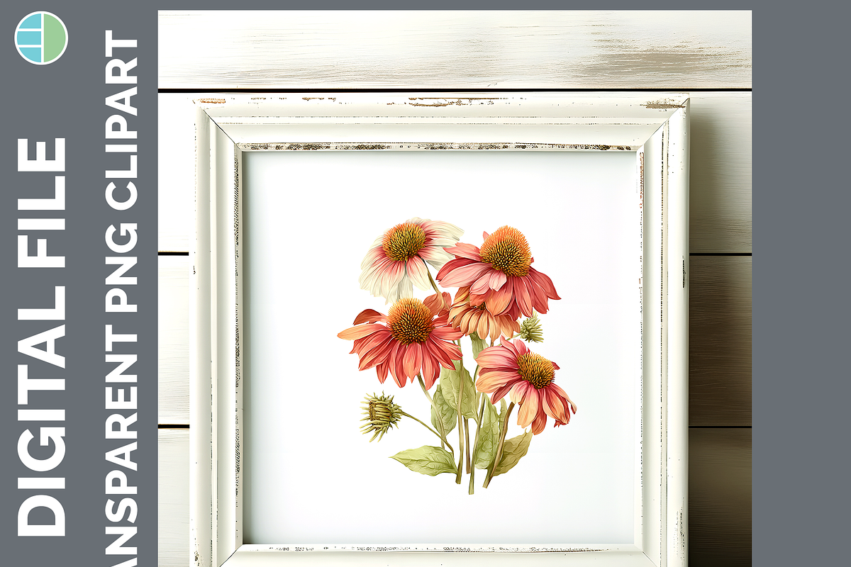 Wildflower Illustration Bundle PNG, a Decorative Illustration by Enliven Designs (Photo 5 of 8)