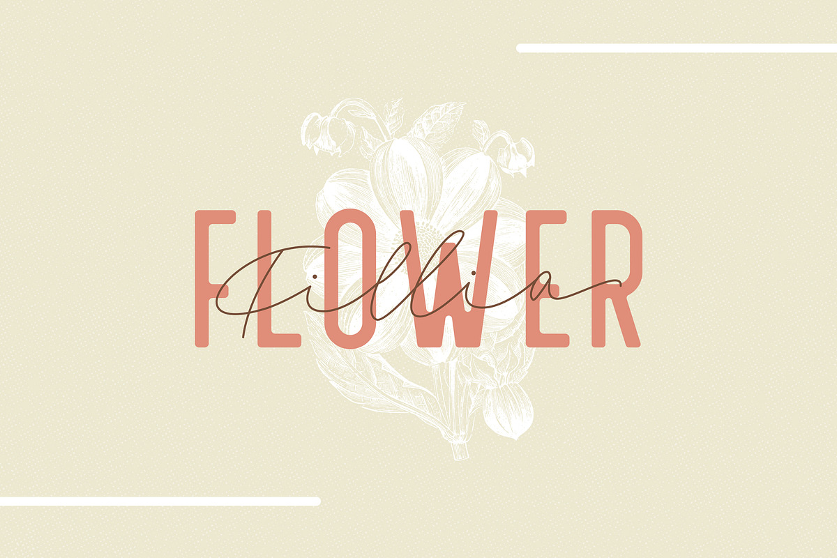 Filia - Script, Sans, & Bold Font, a Script Font by Inspiratype (Photo 9 of 11)
