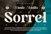 Castio – Bold Font, a Serif Font by Craft Supply Co. (Thumbnail 2 of 8)