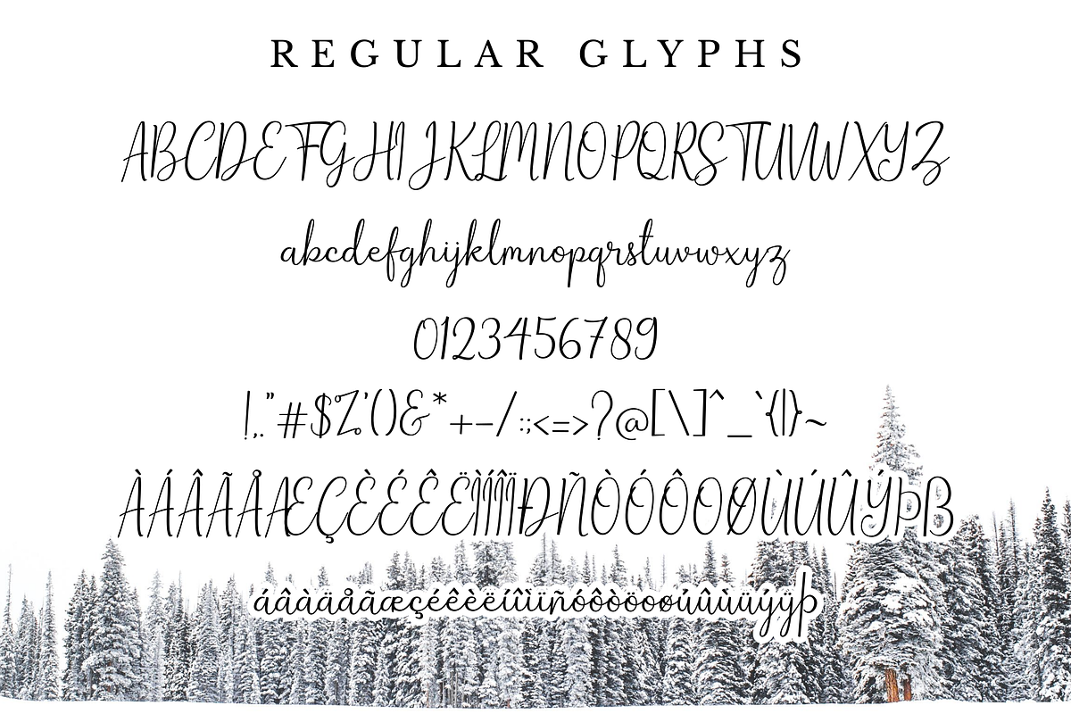 Winterbean - Modern Calligraphy Font, a Script Font by Sibelumpagi Studio (Photo 11 of 12)