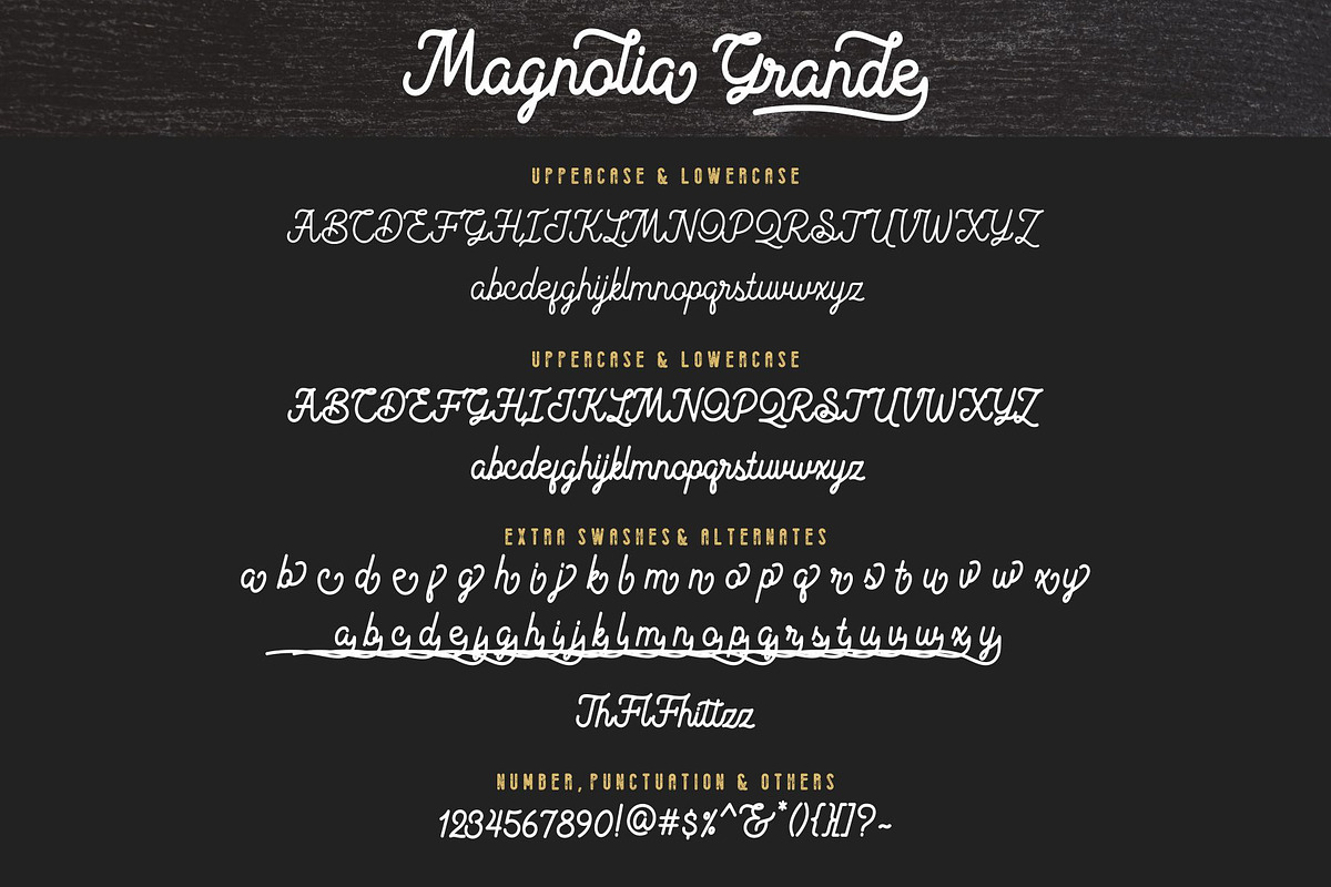 Magnolia Grande with Include Icons, a Script Font by HanzelSpace Studio (Photo 7 of 7)