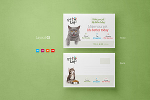 Veterinary Clinic Postcard