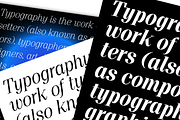 Proto Serif Font Family, a Serif Font by Bukva™ Type Foundry (Thumbnail 7 of 16)