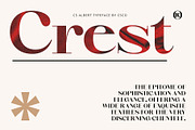 CS Albert – Classic Font, a Serif Font by Craft Supply Co. (Thumbnail 3 of 8)