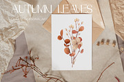 Autumn Leaves Set Illustrations, a Seasonal Illustration by NataliArkushArt (Thumbnail 3 of 12)