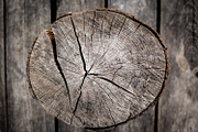 Barn & Farmhouse Wood Textures, a Background Photo by VetalStock (Thumbnail 8 of 9)