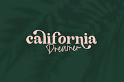 The California | Serif Font Duo, a Serif Font by KA Designs (Thumbnail 19 of 24)