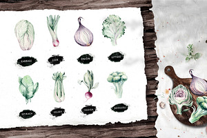 Watercolor Fresh Veggies Collection!