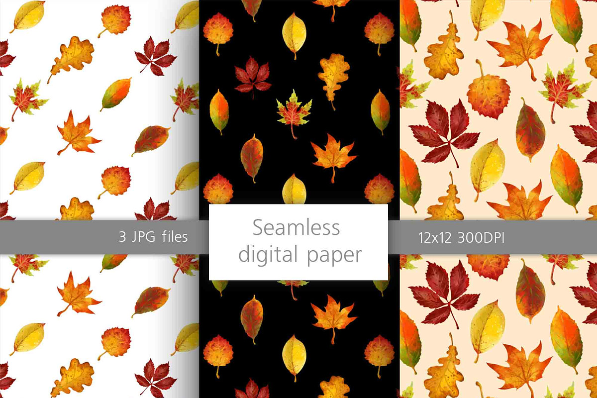 Fall leaves png clipart, an Illustration by PinskaDrawCute (Photo 6 of 6)