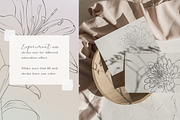 Blossom - floral line art, an Illustration by Anna.Klets (Thumbnail 13 of 14)