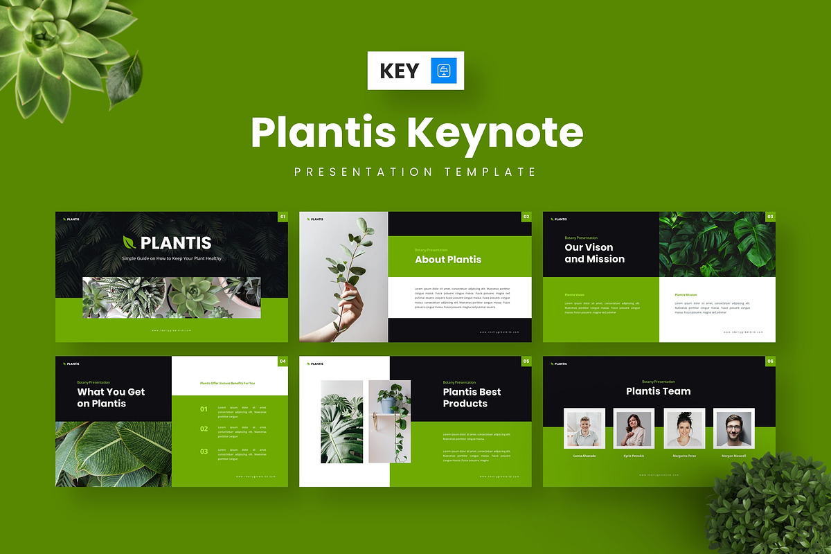 Plantis - Keynote Templates, a Presentation Template by Deepslide Studio (Photo 4 of 6)