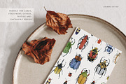 Beetles watercolor collection, an Animal Illustration by Diana Askarova Art (Thumbnail 10 of 12)
