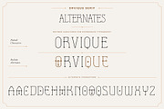 Orvique Serif – Elegant Luxury Font, a Serif Font by Hakara Type (Thumbnail 7 of 10)
