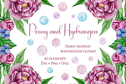 Peony and Hydrangea Clipart, a Decorative Illustration by Milla_Zelenyuk_art (Thumbnail 1 of 7)