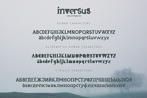 Inversus A Slab Serif Display Font