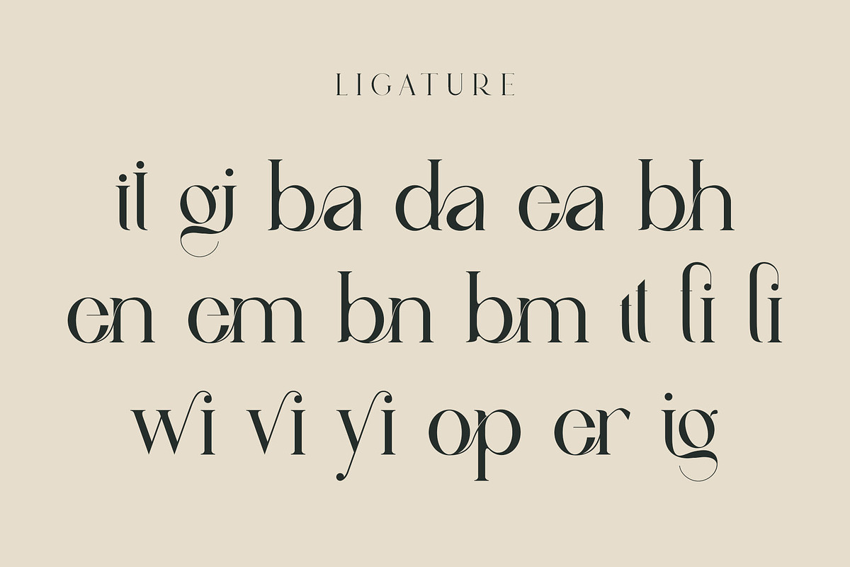 vindea Ligature Serif Typeface, a Serif Font by Humaira_std (Photo 8 of 11)