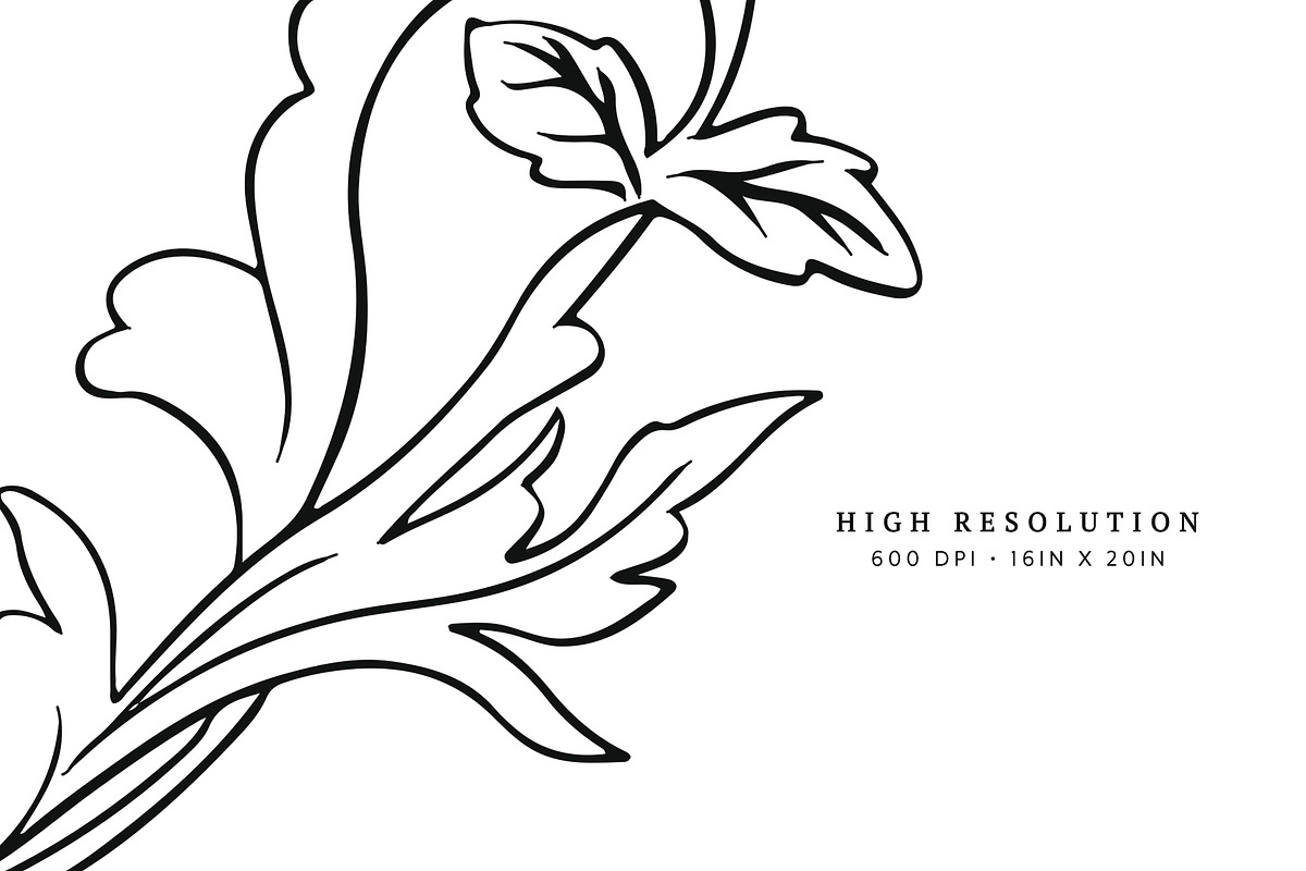 Rami ~ License for One Event, a Graphic by Jennifer Ward Studio (Photo 4 of 4)