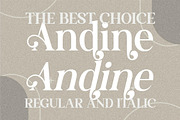 Andine Serif LS, a Script Font by GranzCreative (Thumbnail 3 of 19)