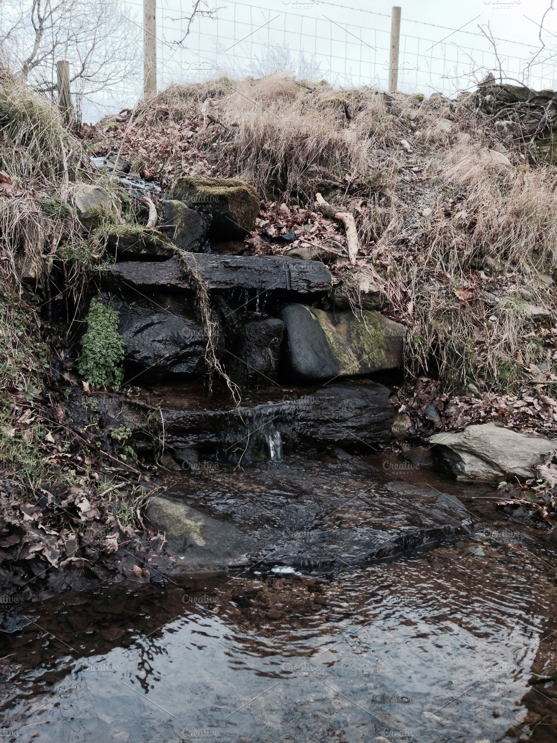 Stream