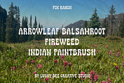 Fox Ranch | Retro Western Font, a Slab Serif Font by Lucky Bee Creative Studio (Thumbnail 5 of 7)