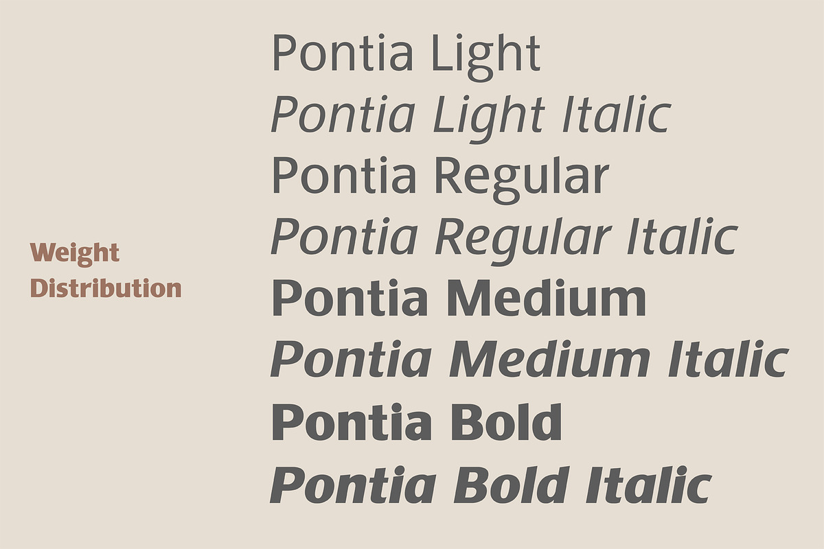 Pontia Sans Font Family, a Sans Serif Font by Bart Wesolek (Photo 2 of 11)