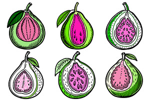 guava fruits with pink flesh, an Object Graphic by Billah Hub