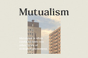 Linguas - Nostalgic Serif Font, a Serif Font by Typeformers (Thumbnail 4 of 5)