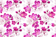 White & Pink Apple Blossom Pattern, a Pattern Graphic by MarynaPetrovska (Thumbnail 4 of 12)