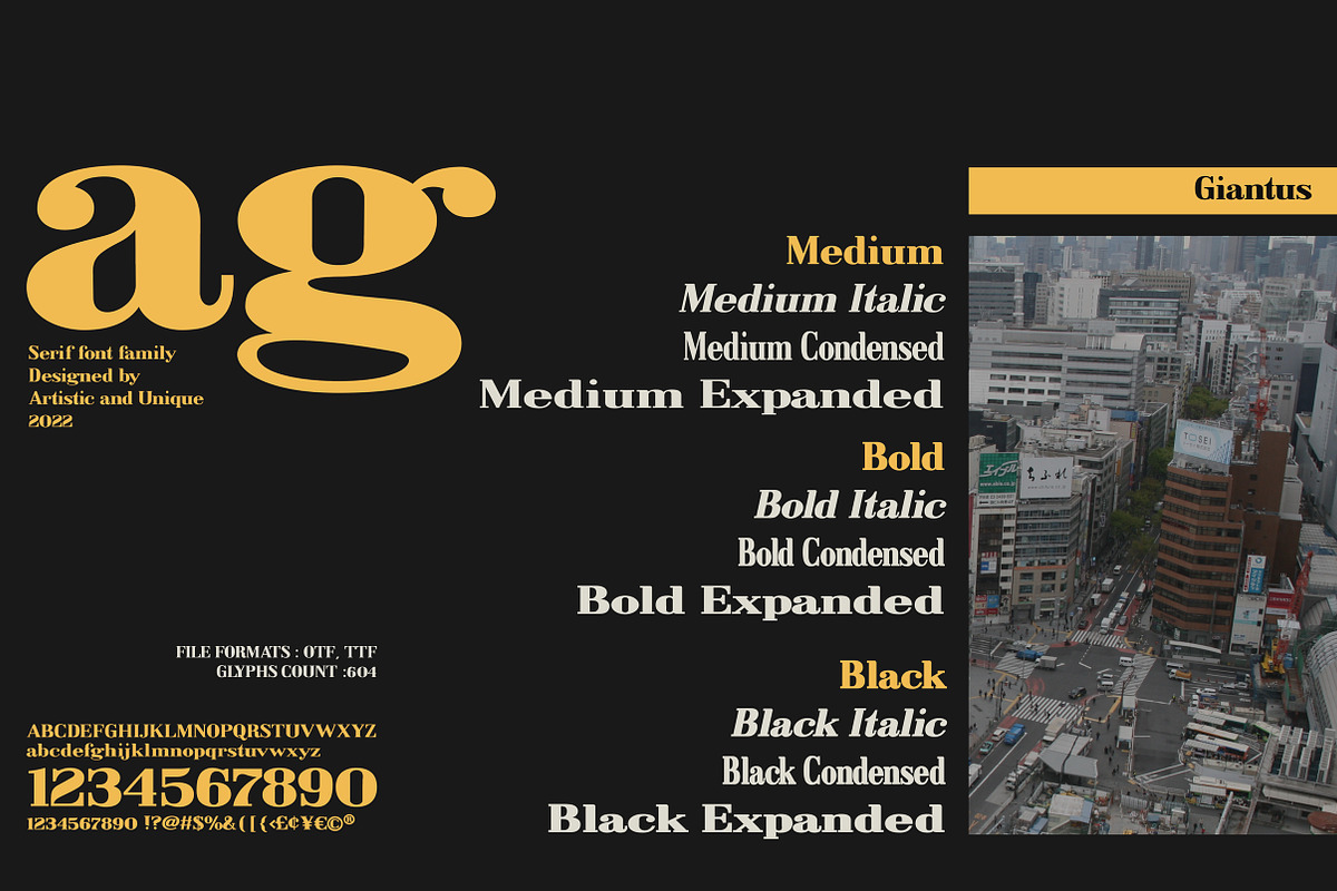 Giantus - Serif font family, a Serif Font by Artistic & Unique (Photo 12 of 13)