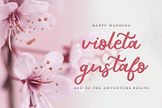 Bethyna | Script Font, a Script Font by Suntype | Sunshine Std (Thumbnail 3 of 8)