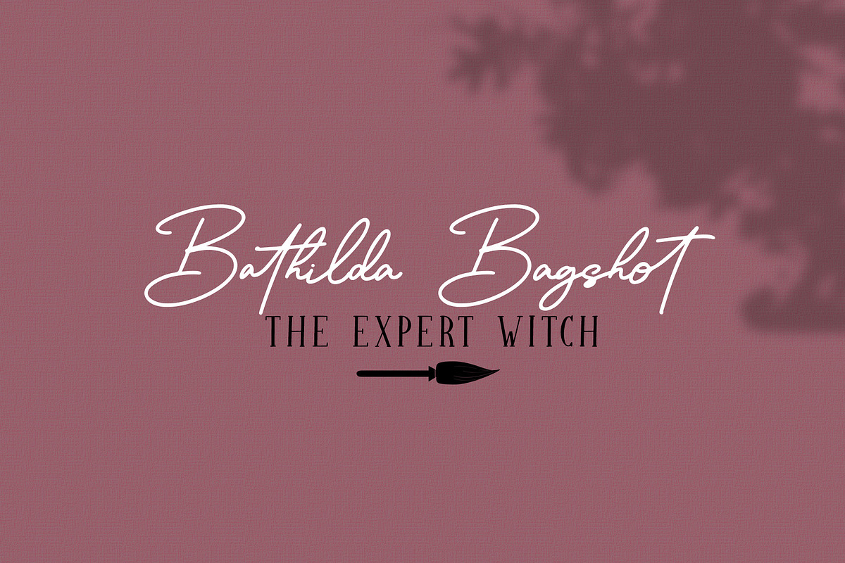 Sparkling Bright - Beauty Font Duo, a Serif Font by Dm Studio (Photo 6 of 10)