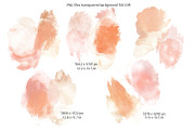 Everbloom Floral Collection, a Decorative Illustration by Anna Druzhkova (Thumbnail 8 of 22)