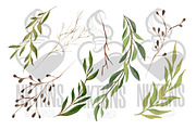 Greenery Watercolor Clipart, a Decorative Illustration by NKTKNS (Thumbnail 5 of 7)