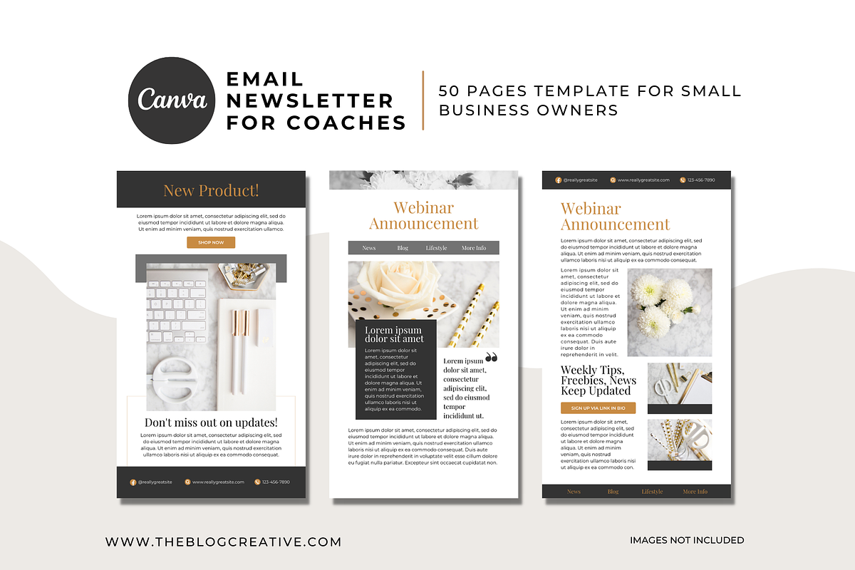Email Marketing Template Canva, an Email Template by The Blog Creative (Photo 4 of 6)