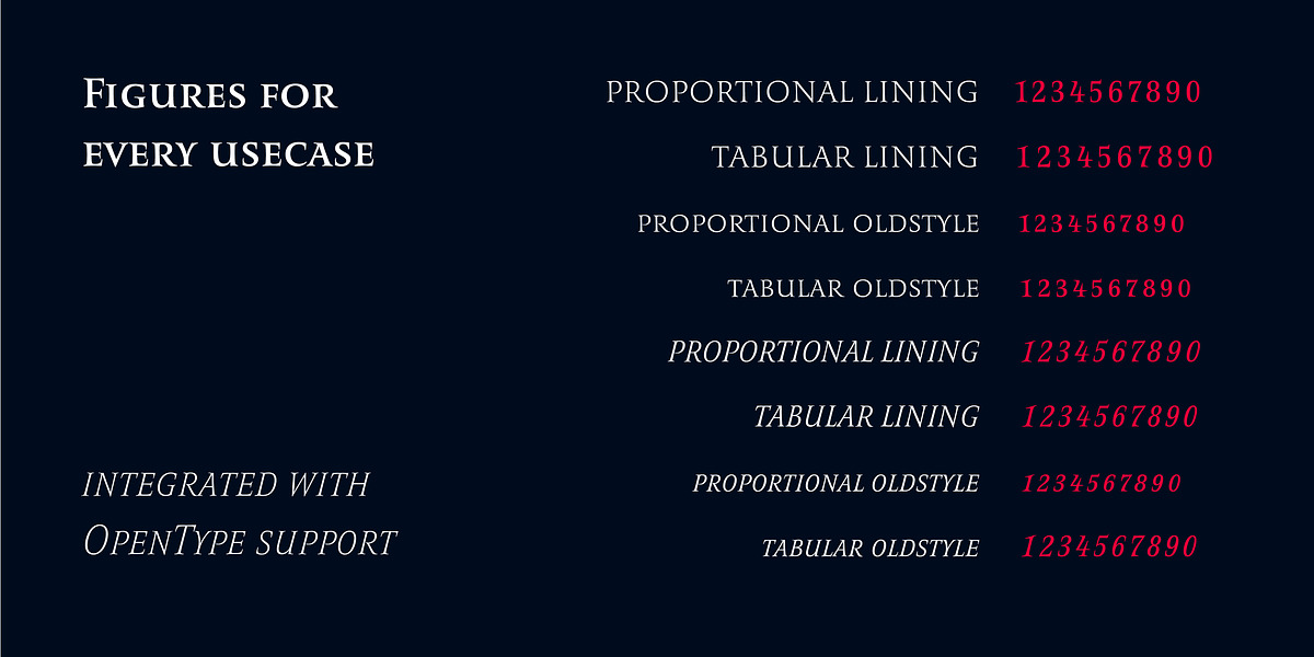 Romis, a Serif Font by Finaltype (Photo 5 of 22)