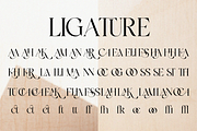 Flamicia - Luxury Modern Editorial, a Serif Font by Qweera Studio (Thumbnail 9 of 12)