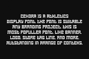 Cekora - Athletics Font, a Serif Font by QR Design Studio (Thumbnail 4 of 6)