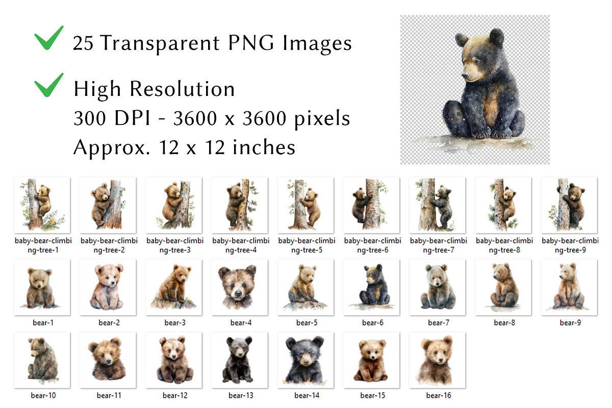 Baby Bear Watercolor Clipart, an Animal Illustration by milkghost (Photo 2 of 2)