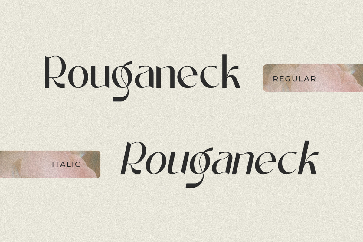 Rouganeck Modern Sans Serif Font, a Sans Serif Font by Heinzel Std (Photo 12 of 13)