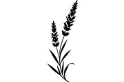 Decorative Tribal Feather Vector, an Object Graphic by Designer_Momina (Thumbnail 7 of 18)