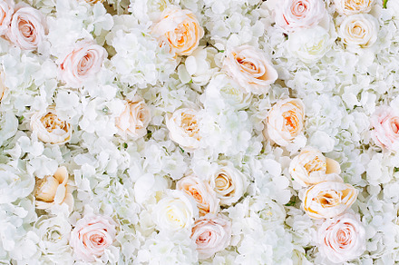 Flowers wall background white roses containing abstract, art, and background