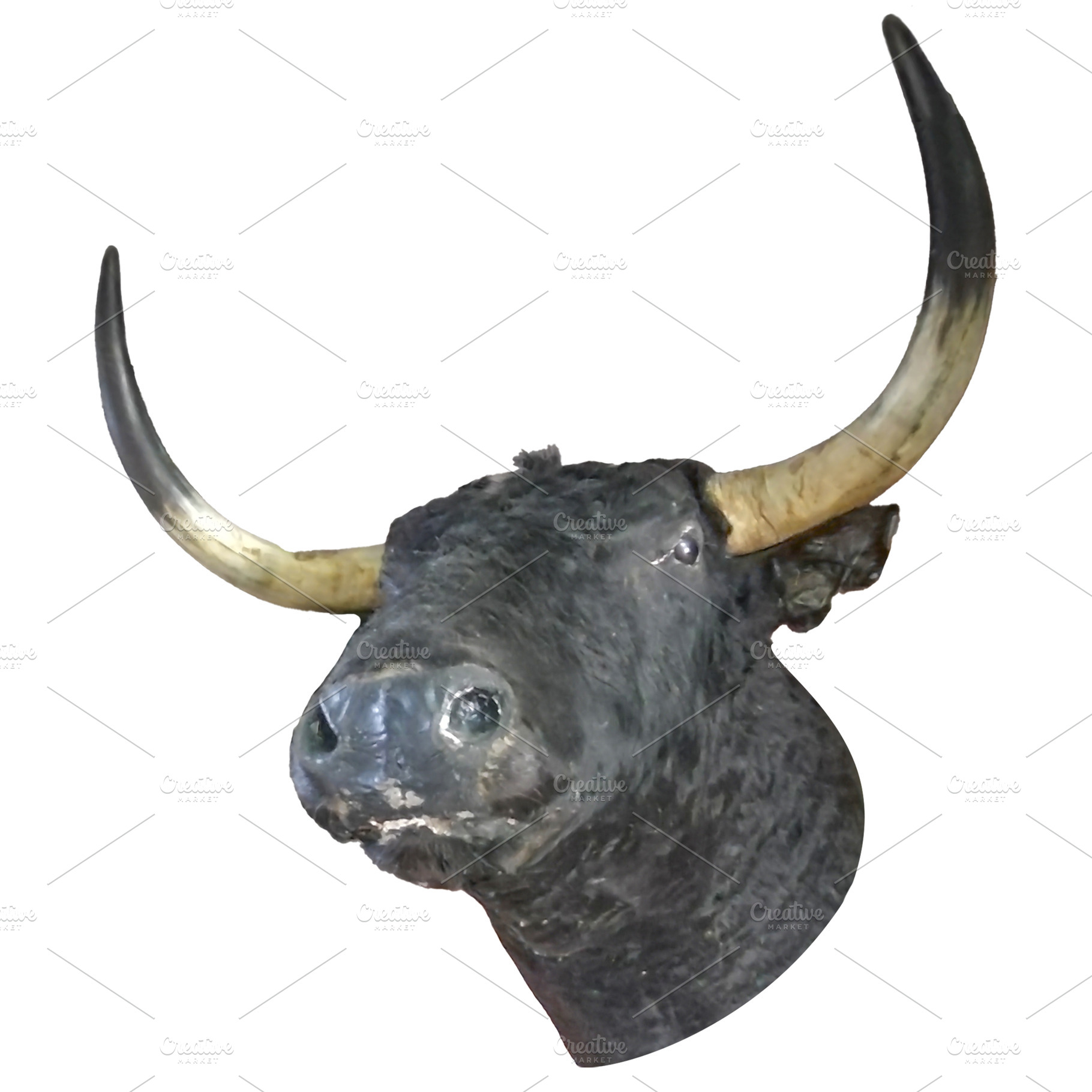 Isolated graphic of a bull head, an Animal Photo by DanFLCreativo