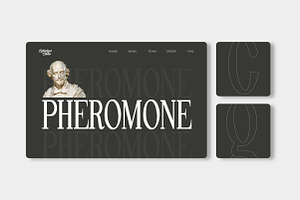 Pheromone Modern Classic Serif