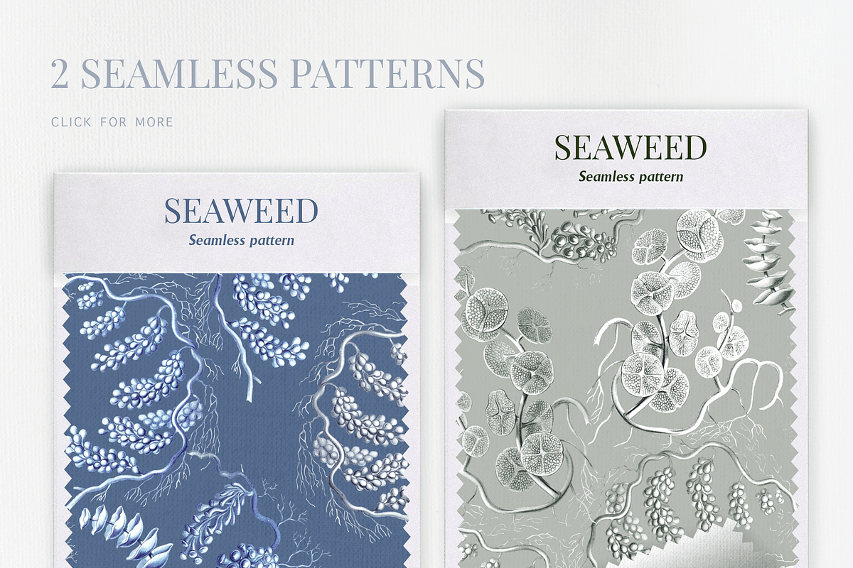 SEAWEED SEAMLESS PATTERNS & OBJECTS, a Decorative Illustration by Splash! (Photo 2 of 8)