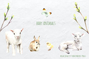 Watercolor Spring Creator, an Animal Illustration by SophieLittleEye (Thumbnail 6 of 12)