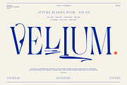 Everline - Luxury Serif Font Family, a Serif Font by VP Fonts (Thumbnail 4 of 22)