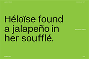 Lumeni Variable Font, a Sans Serif Font by aquene (Thumbnail 6 of 10)