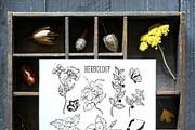 Poison. Watercolor and line art., an Object Illustration by ma_i_vi (Thumbnail 8 of 12)