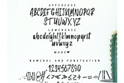 Wonderful Jungle, a Script Font by Inspiratype (Thumbnail 5 of 5)