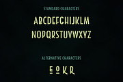 Holder Sans Typeface + Extras, a Sans Serif Font by Design 265 (Thumbnail 4 of 10)